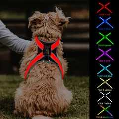Newly Designed LED Dog Vest Harness Light Emitting CD1112 for Dogs for Wholesale & OEM Programs view 1