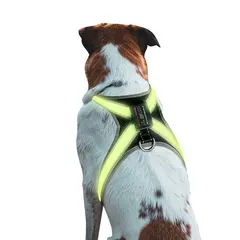 Newly Designed LED Dog Vest Harness Light Emitting CD1112 for Dogs for Wholesale & OEM Programs view 2