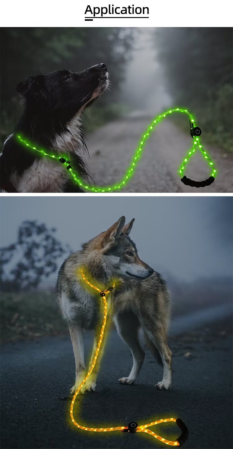 LED Light-Up Dog Leash Night Use Protective Sporty Glow-in-the-Dark Polyester Rope for Cats for Wholesale & OEM Programs detail
