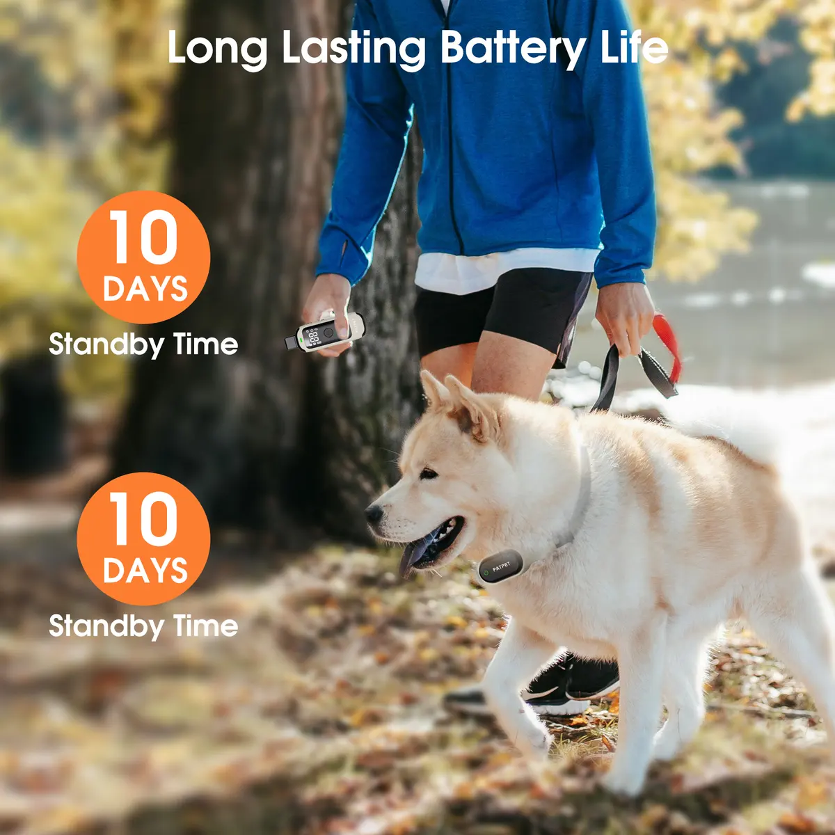 LED Screen IPX7 Waterproof 600M Control Distance Shock Beep Vibration Levels 2 for Dogs for Wholesale & OEM Programs detail