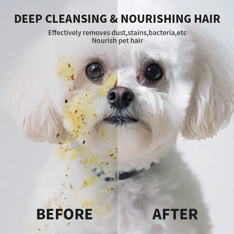 Cross-border Pet Products No Bath Gloves Cat Dog Cleaning Wipes OEM Processing Customized No Wash Beauty detail