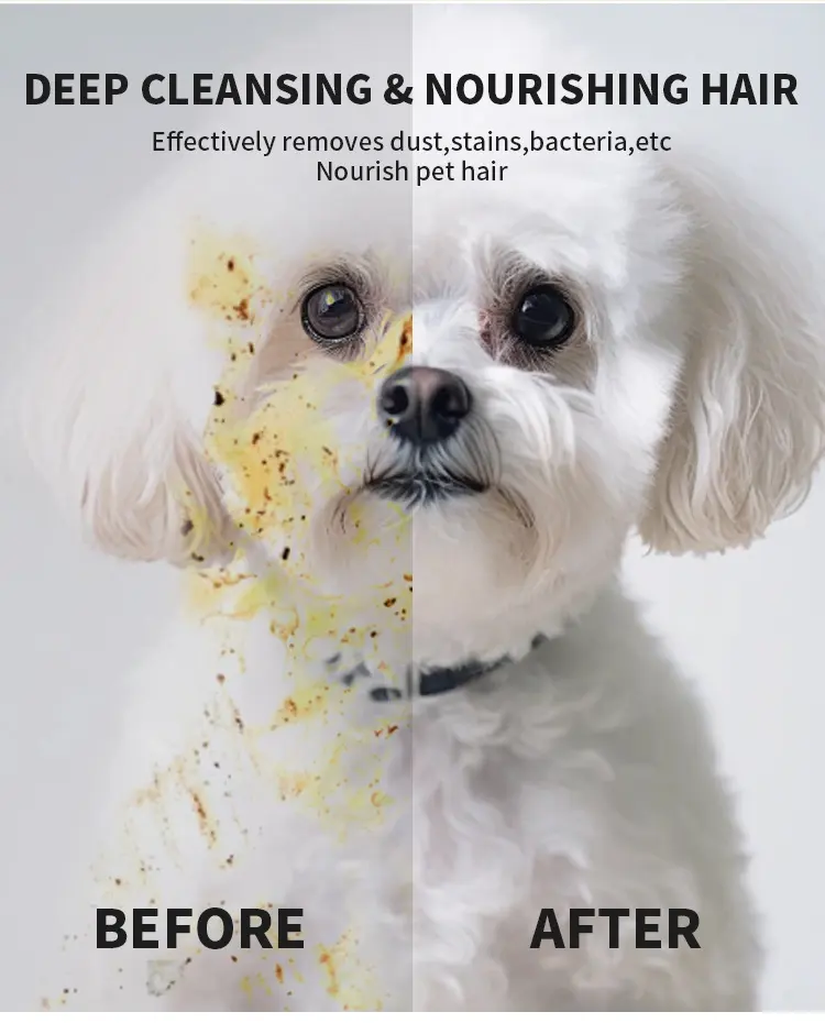 High Quality Soft Non-Woven Pet Cleaning Gloves Dog Cat Wash-Free Wet Wipes 15x15cm for Dogs for Wholesale & OEM Programs detail