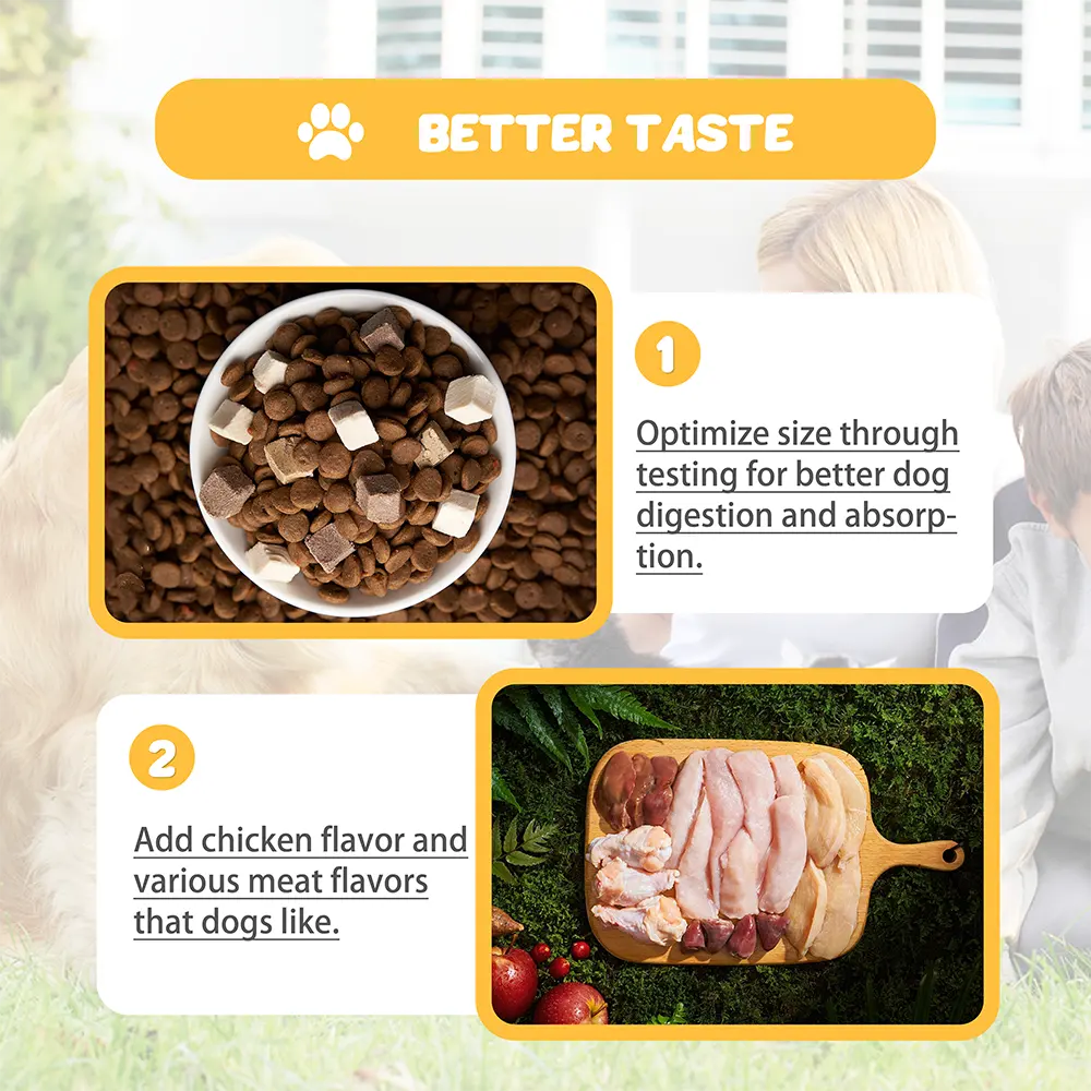 Omega 3 & Pumpkin Soft Chews Organic Top Grade Dog Allergy Relief Itchy Skin Hot Spot for Wholesale & OEM Programs detail