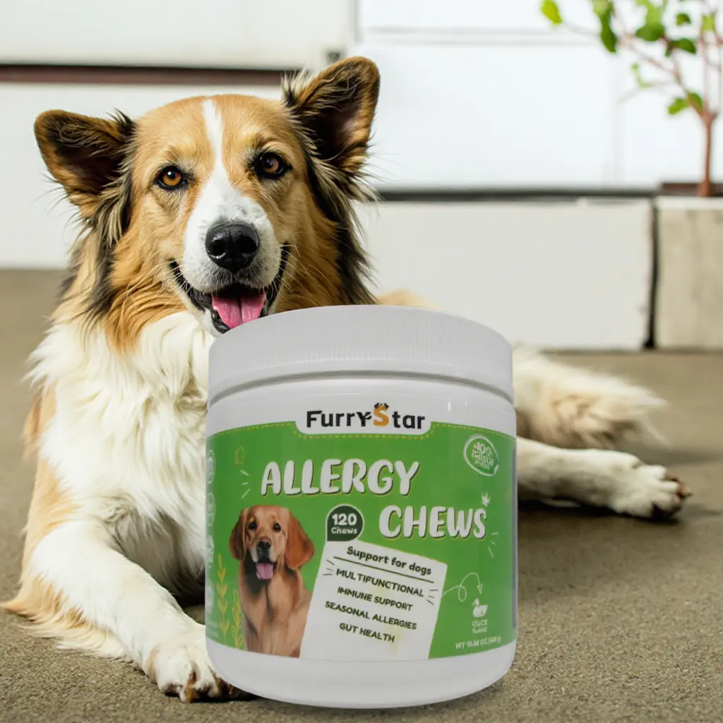 Omega 3 & Pumpkin Soft Chews Organic Top Grade Dog Allergy Relief Itchy Skin Hot Spot for Wholesale & OEM Programs