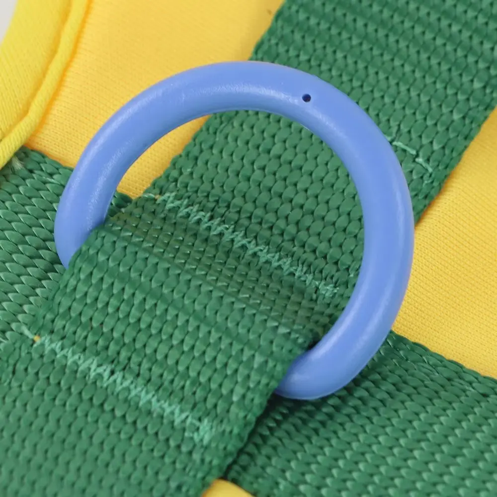 Fashion Padded Dog Harness Waterproof Dog Collar and Leash Plastic Air Layer Soft for Dogs for Wholesale & OEM Programs detail