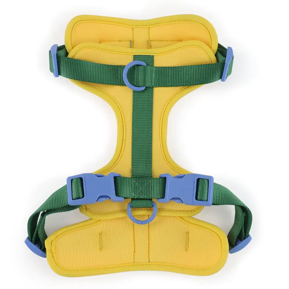 Fashion Padded Dog Harness Waterproof Dog Collar and Leash Plastic Air Layer Soft for Dogs for Wholesale & OEM Programs detail