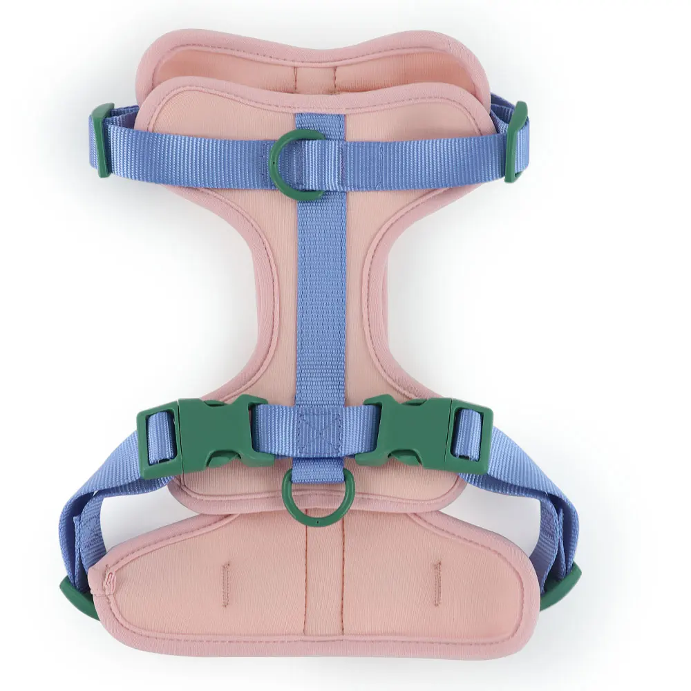 Fashion Padded Dog Harness Waterproof Dog Collar and Leash Plastic Air Layer Soft for Dogs for Wholesale & OEM Programs detail
