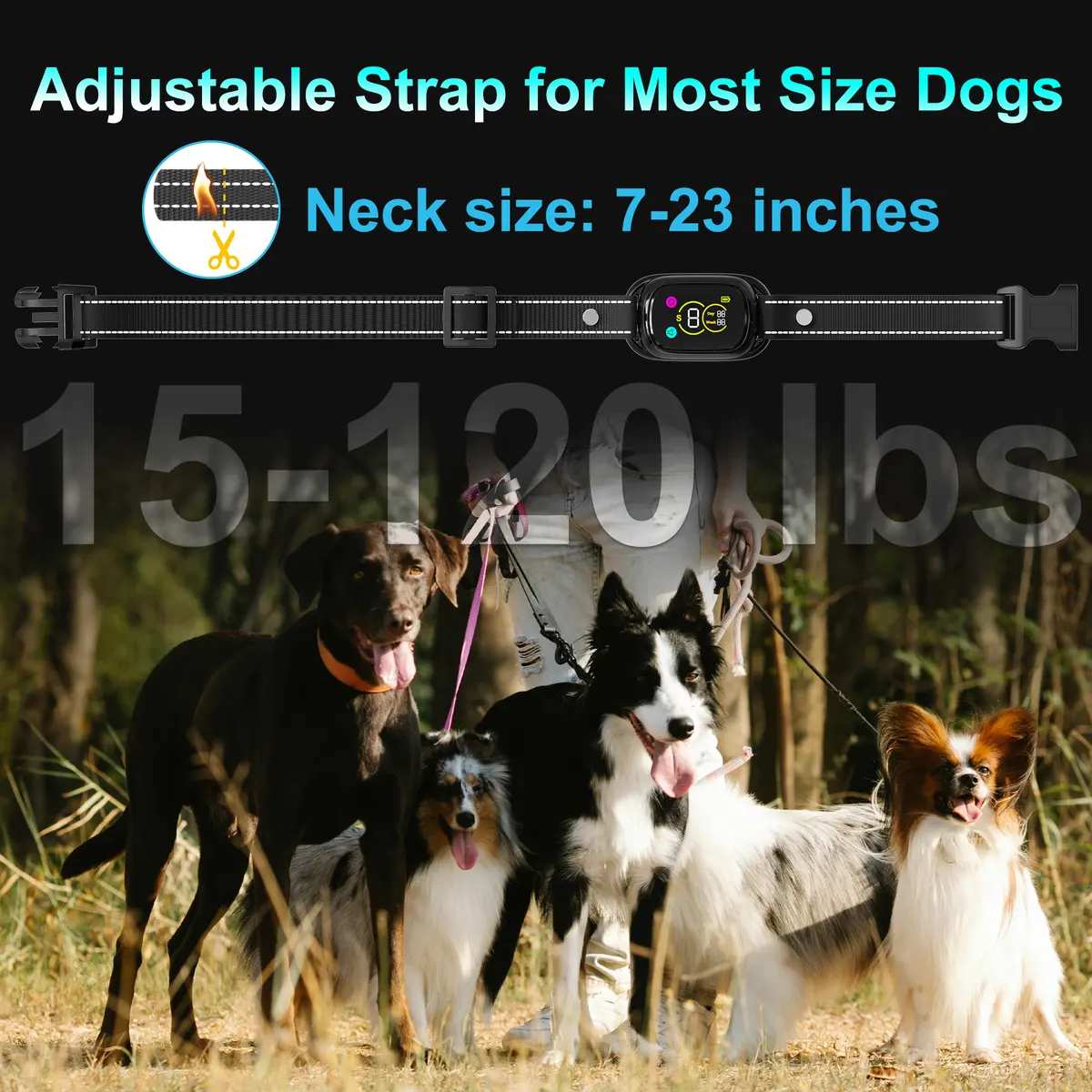 PATPET Electronic Bark Collar Rechargeable Dog Training Collar Remote Control Pet for Dogs for Wholesale & OEM Programs detail