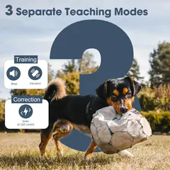 PATPET Electronic Bark Collar Rechargeable Dog Training Collar Remote Control Pet for Dogs for Wholesale & OEM Programs view 2