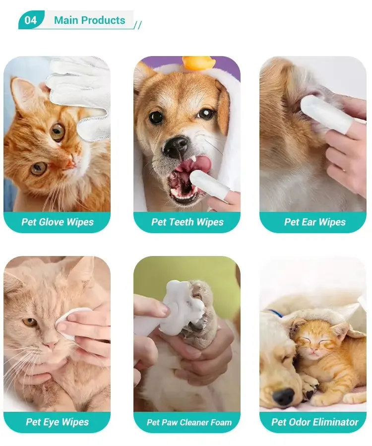 Factory Pet Dental Gel for Cats and Dogs-Bathroom Use Deep Cleaning & Mild Formula for pet oral cleaning for Wholesale & OEM Programs detail