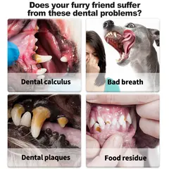 Factory Pet Dental Gel for Cats and Dogs-Bathroom Use Deep Cleaning & Mild Formula for pet oral cleaning for Wholesale & OEM Programs view 5