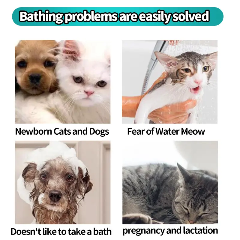 Foreign Trade China Pet Disposable Gloves No Fragrance Supplies Cat Dog Bathing for pet cleaning for Wholesale & OEM Programs detail