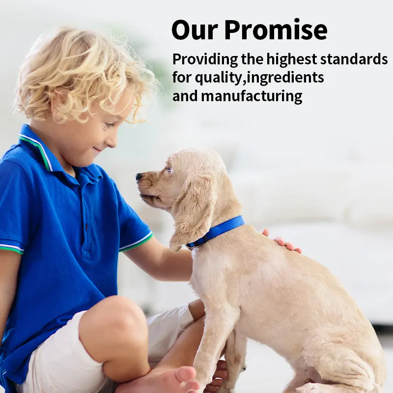 Pet Ear Drops Solution Deodorizing Antibacterial Cat Dog Ear Mite Care for Dogs for Wholesale & OEM Programs detail