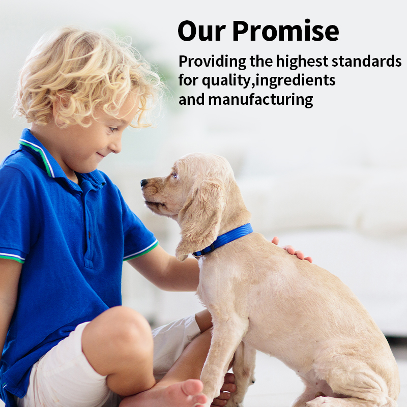 Pet Ear Drops Solution Deodorizing Antibacterial Cat Dog Ear Mite Care for Dogs for Wholesale & OEM Programs detail