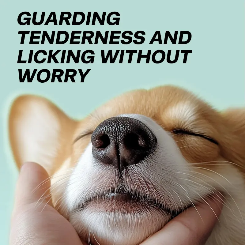 Pet Nose Moisturizing Finger Cots for Dogs & Cats Dry Cracked Protection Care Wipes for Wholesale & OEM Programs detail
