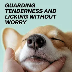 Pet Nose Moisturizing Finger Cots for Dogs & Cats Dry Cracked Protection Care Wipes for Wholesale & OEM Programs view 5
