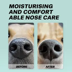 Pet Nose Moisturizing Finger Cots for Dogs & Cats Dry Cracked Protection Care Wipes for Wholesale & OEM Programs view 6