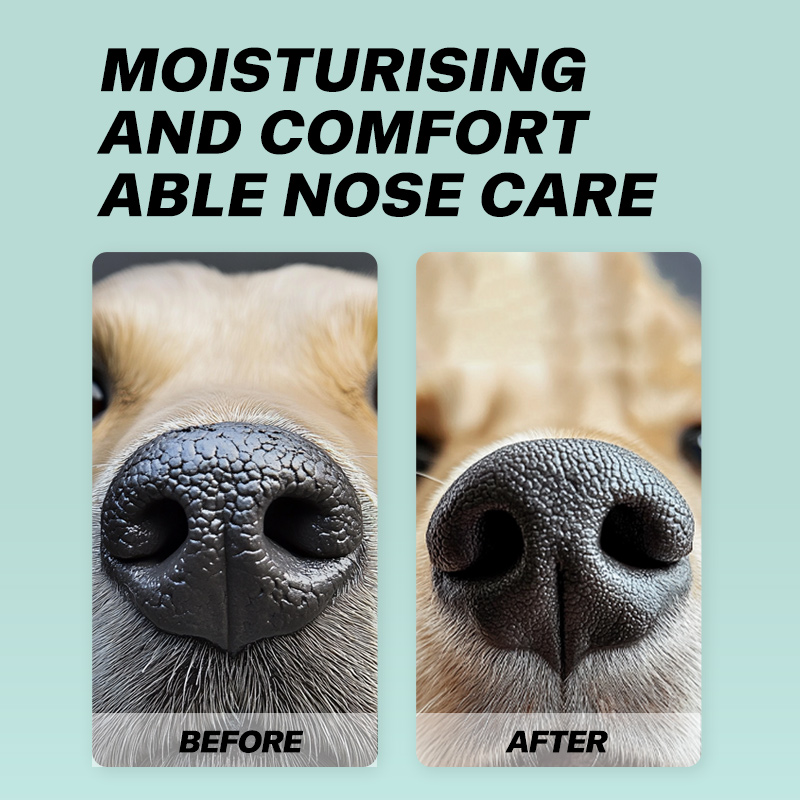 Pet Nose Moisturizing Finger Cots for Dogs & Cats Dry Cracked Protection Care Wipes for Wholesale & OEM Programs detail