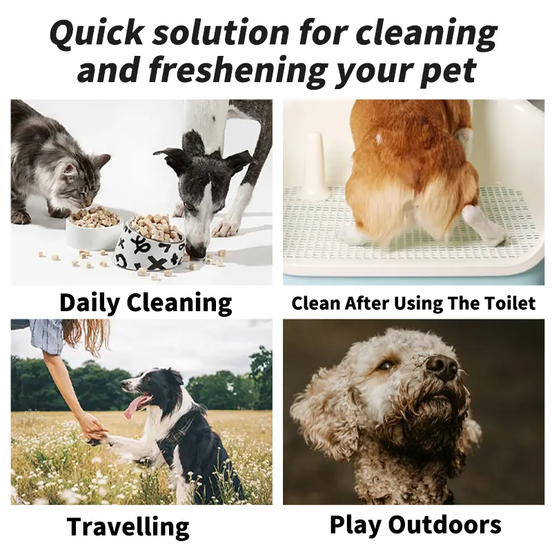 Pet Wet Wipes 80 Sheets Cat Dog Cleaning Grooming Supplies OEM Custom Branding Beauty for Wholesale & OEM Programs detail