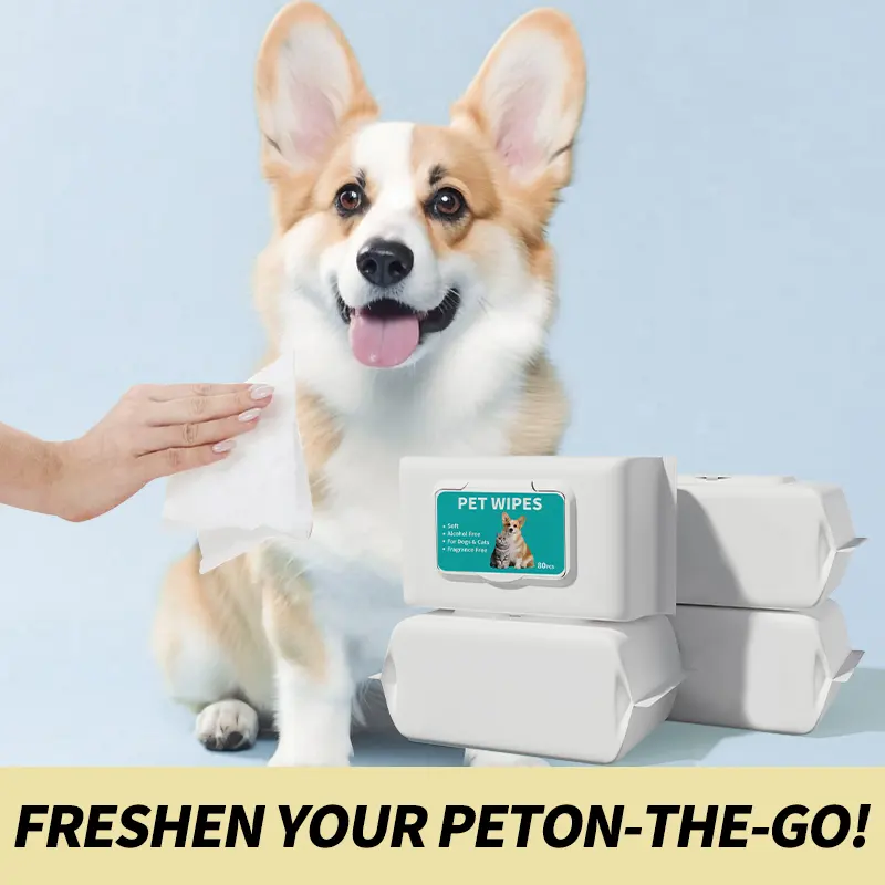 Pet Wet Wipes 80 Sheets Cat Dog Cleaning Grooming Supplies OEM Custom Branding Beauty for Wholesale & OEM Programs detail