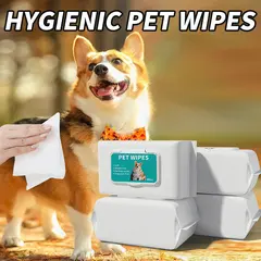 Pet Wet Wipes 80 Sheets Cat Dog Cleaning Grooming Supplies OEM Custom Branding Beauty for Wholesale & OEM Programs view 2