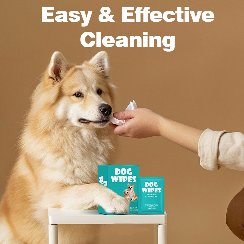 Pet Wet Wipes Single Pack Dog Fruit Scent Spunlace Material Disposable No-Wash for Dogs for Wholesale & OEM Programs view 3