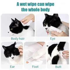 China Spunlace Material Pet Wipes Automatic Pet Feeder for pet hygiene for Wholesale & OEM Programs view 5