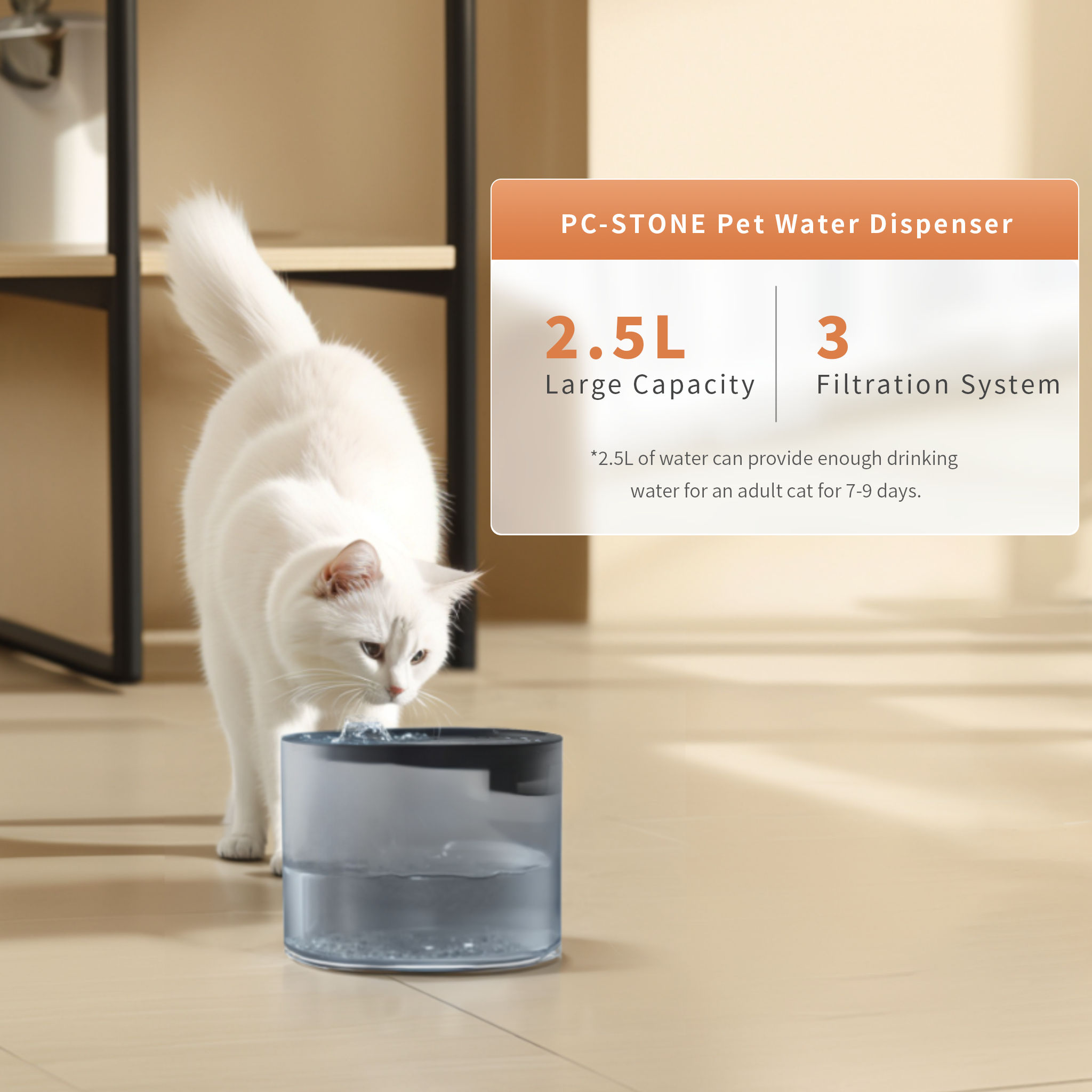 Portable Stainless Steel Plastic Smart Large Fountain Water Food Bowl Dispenser Eco-Friendly Automatic Dog Feeder Kit Pet for Wholesale & OEM Programs view 6
