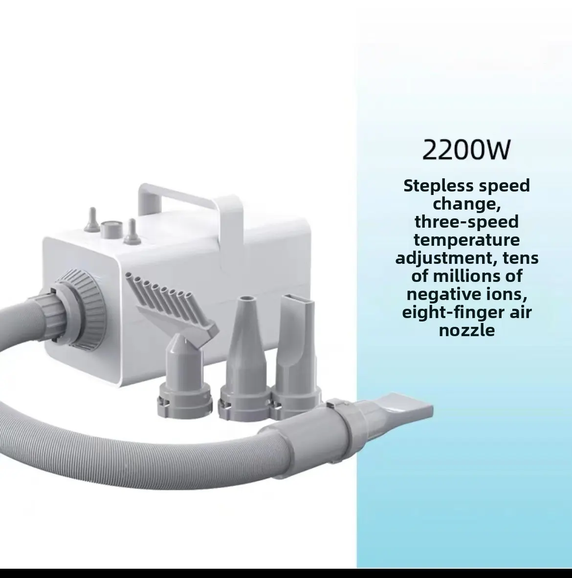 Chaolun Luxury High Power Quiet Pet Hair Dryer for Cats for Wholesale & OEM Programs detail