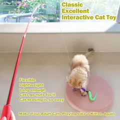 Purple Blue Retractable Funny Pet Toys Interactive Indoor Chicken Feather Cat Game for Cats for Wholesale & OEM Programs view 5