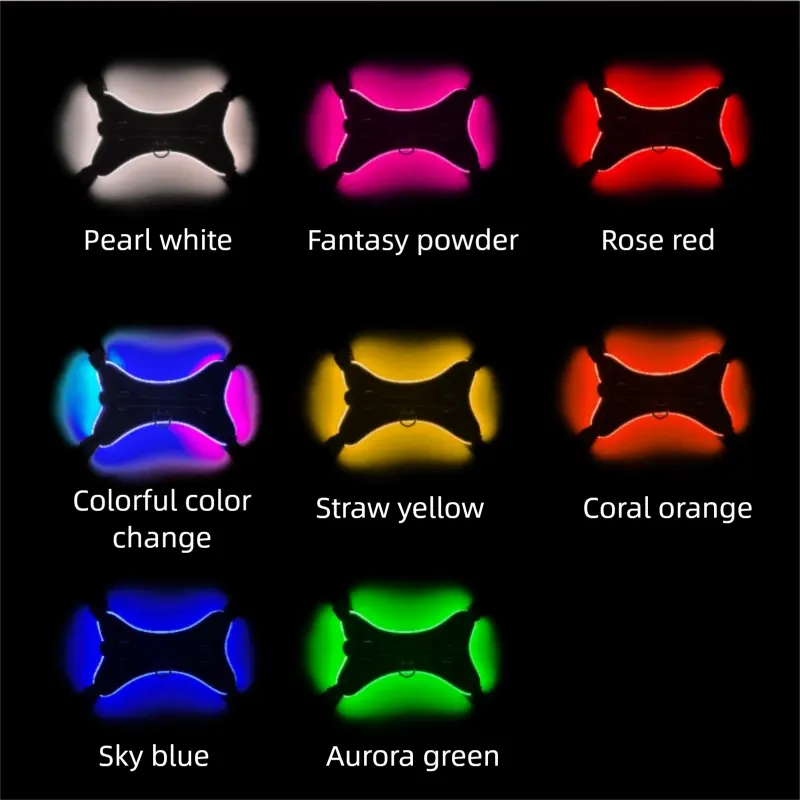 Custom Large RGB LED Light Reflective Dog Harness Rechargeable Oxford Vest Winter for Dogs for Wholesale & OEM Programs detail