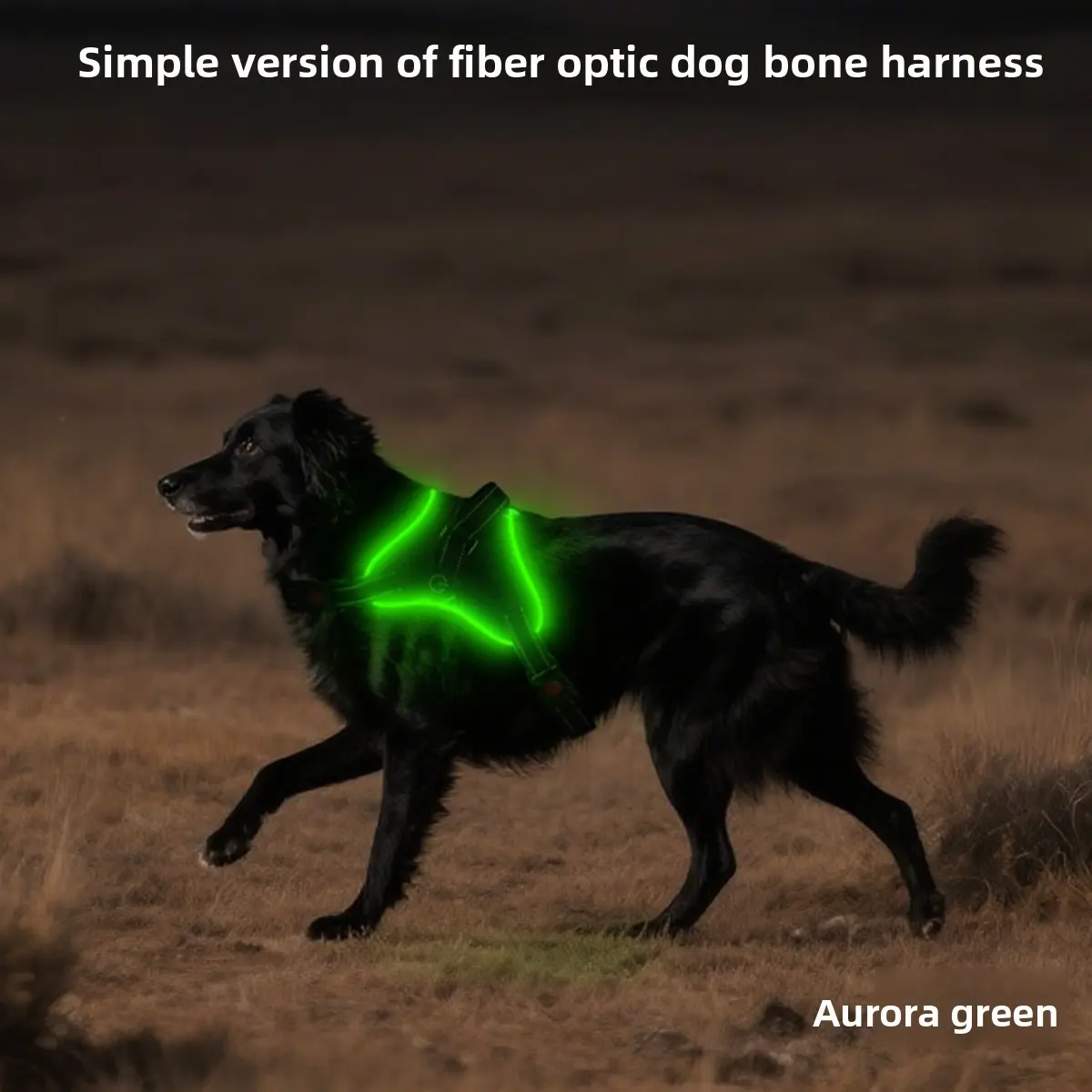 Custom Large RGB LED Light Reflective Dog Harness Rechargeable Oxford Vest Winter for Dogs for Wholesale & OEM Programs detail