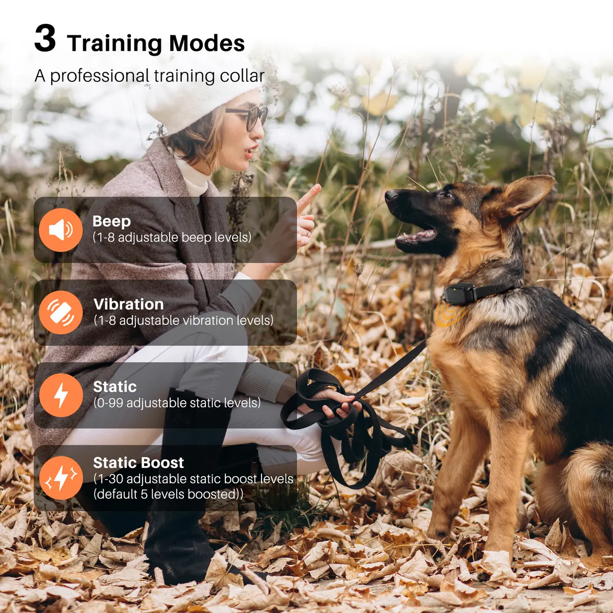 Shock Type Dog Training Collars P-collar 642 for Dogs for Wholesale & OEM Programs detail