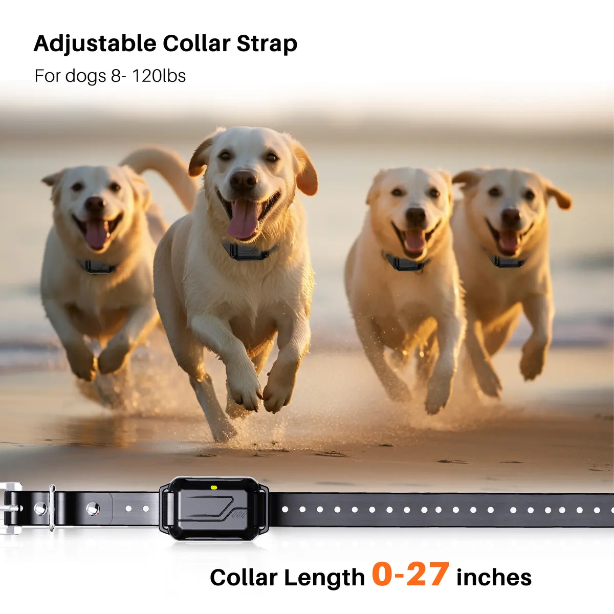 Shock Type Dog Training Collars P-collar 642 for Dogs for Wholesale & OEM Programs detail