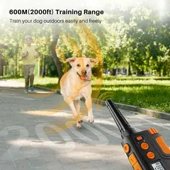 Shock Type Dog Training Collars P-collar 642 for Dogs for Wholesale & OEM Programs view 3