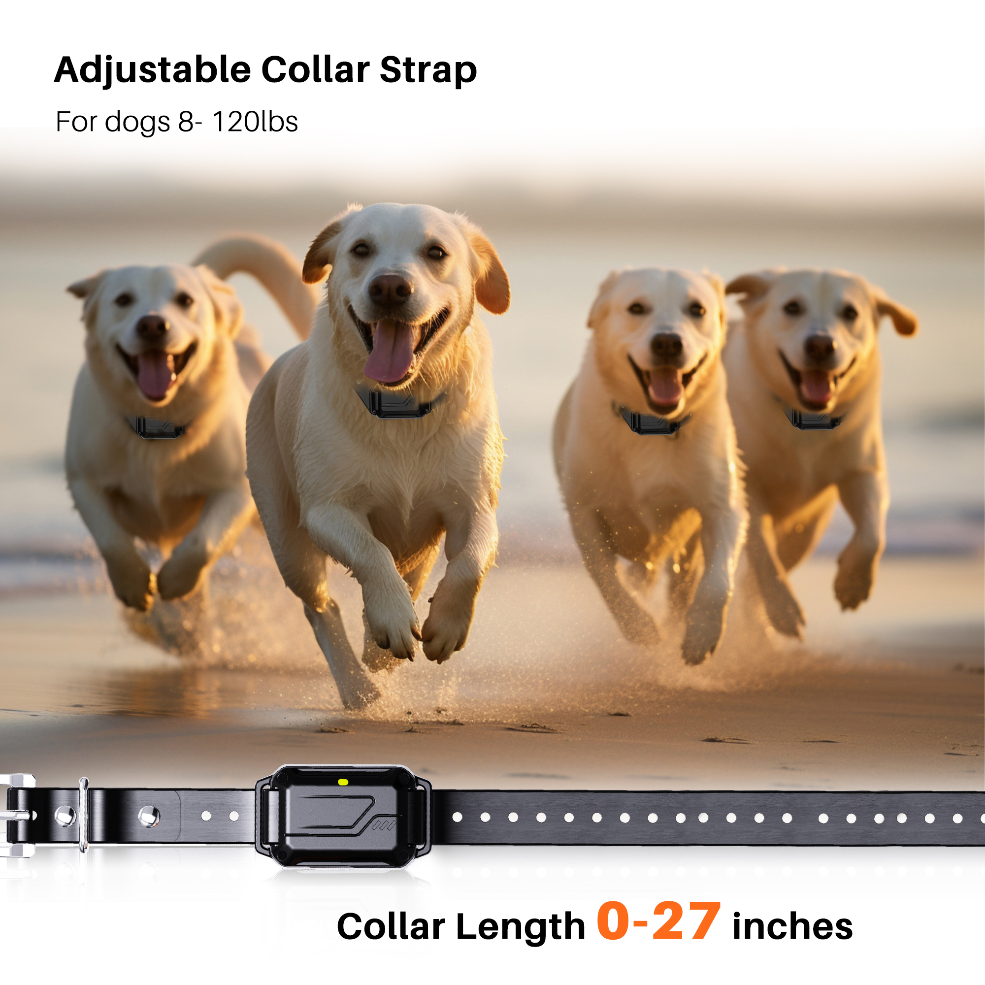Shock Type Dog Training Collars P-collar 642 for Dogs for Wholesale & OEM Programs detail