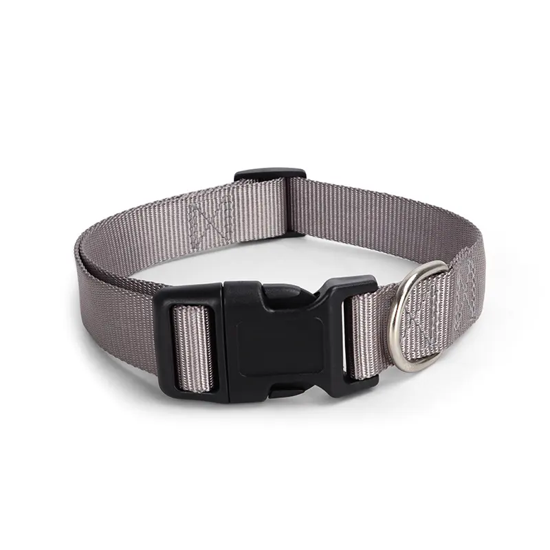 Spot Pet Supplies Simple Solid Color Collar Dog Leash Can Be Embroidered Silk Screen for Wholesale & OEM Programs detail