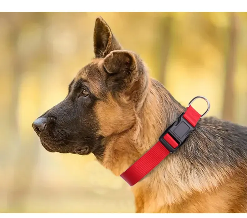 Spot Pet Supplies Simple Solid Color Collar Dog Leash Can Be Embroidered Silk Screen for Wholesale & OEM Programs detail