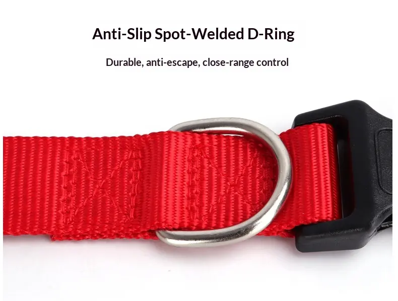 Spot Pet Supplies Simple Solid Color Collar Dog Leash Can Be Embroidered Silk Screen for Wholesale & OEM Programs detail