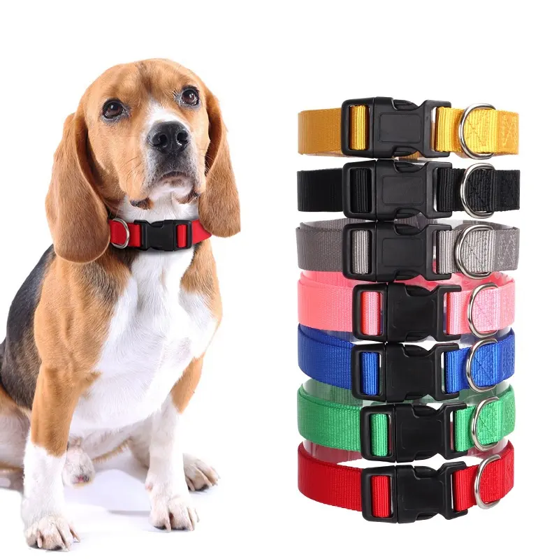 Spot Pet Supplies Simple Solid Color Collar Dog Leash Can Be Embroidered Silk Screen for Wholesale & OEM Programs