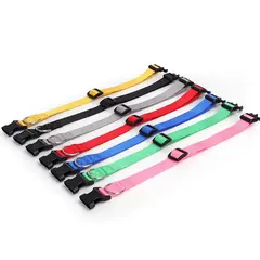 Spot Pet Supplies Simple Solid Color Collar Dog Leash Can Be Embroidered Silk Screen for Wholesale & OEM Programs view 5