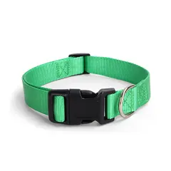 Spot Pet Supplies Simple Solid Color Collar Dog Leash Can Be Embroidered Silk Screen for Wholesale & OEM Programs view 6
