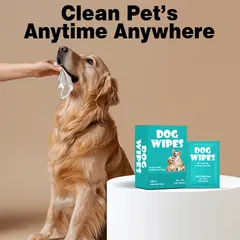 Pet Wet Wipes Single Pack Dog Fruit Scent Spunlace Material Disposable No-Wash for Dogs for Wholesale & OEM Programs view 1