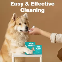 Pet Wet Wipes Single Pack Dog Fruit Scent Spunlace Material Disposable No-Wash for Dogs for Wholesale & OEM Programs view 3