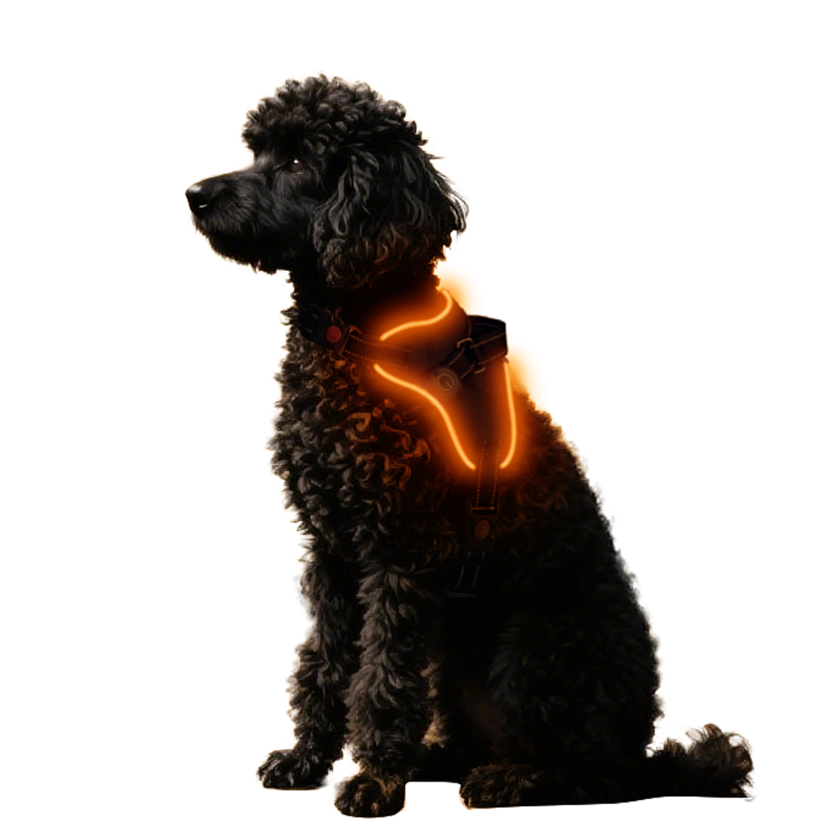 Source Manufacturers LED Optical Fiber Edge Bone Contour Light-emitting Saddle Type for Dogs for Wholesale & OEM Programs view 5