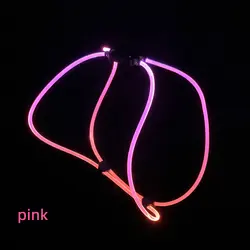 Source Manufacturers Small Breeds Detachable USB Charging Optical Fiber Luminous for Dogs for Wholesale & OEM Programs detail