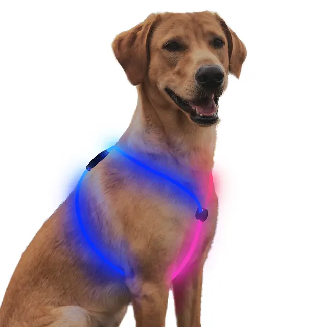 Source Manufacturers Small Breeds Detachable USB Charging Optical Fiber Luminous for Dogs for Wholesale & OEM Programs