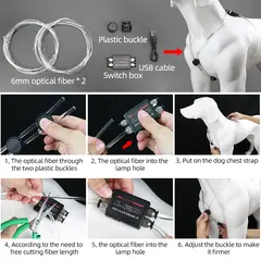 Source Manufacturers Small Breeds Detachable USB Charging Optical Fiber Luminous for Dogs for Wholesale & OEM Programs view 5