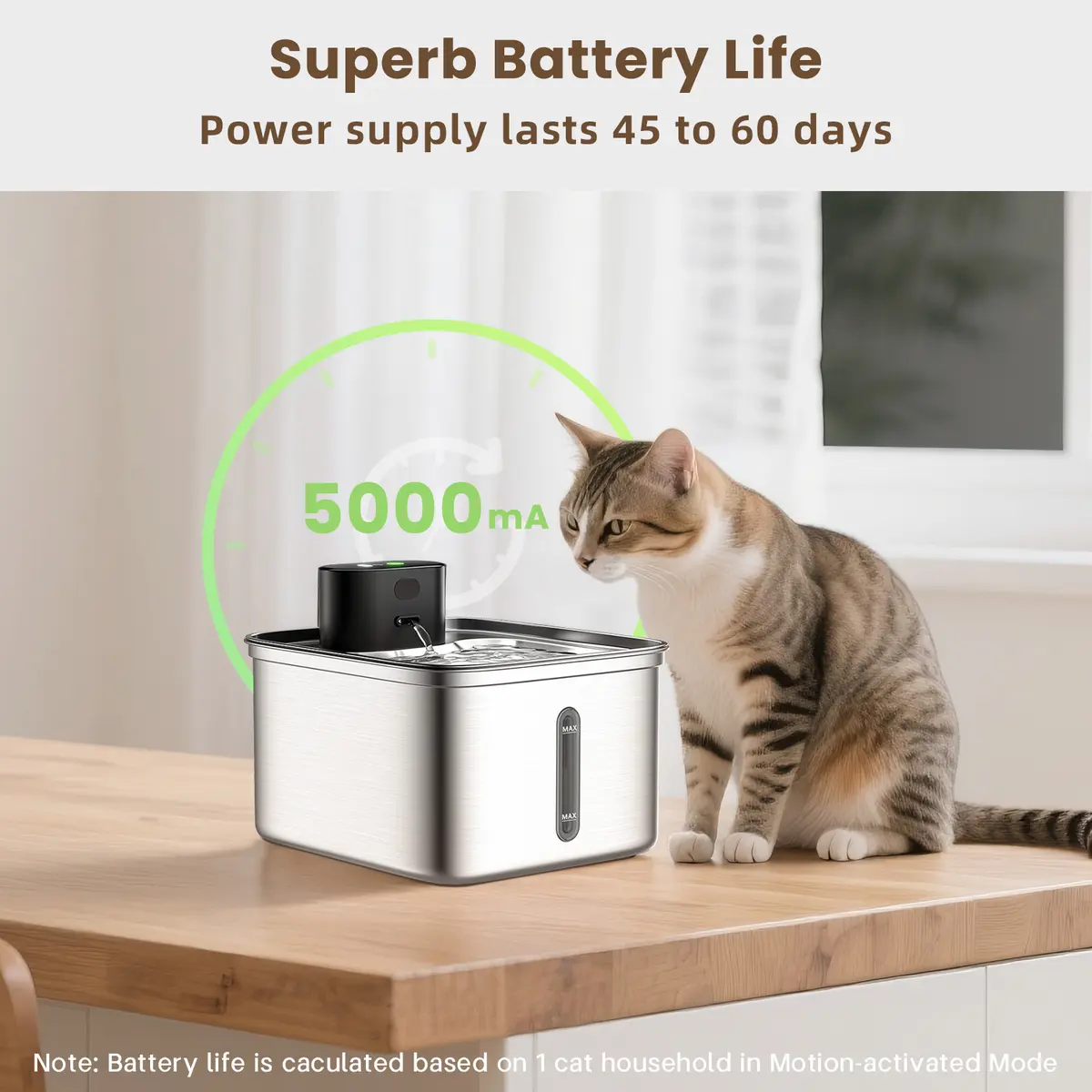 Eco-Friendly Stainless Steel Pet Water Fountain 3.5L Large Capacity Automatic for Small Animals for Wholesale & OEM Programs detail
