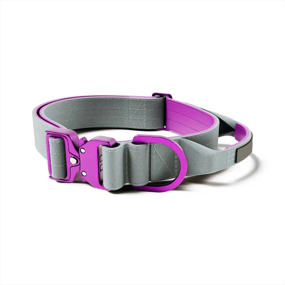 Customized Logo Color Blocking Design Pet Outdoor Training Nylon Tactical Heavy Duty for Wholesale & OEM Programs detail